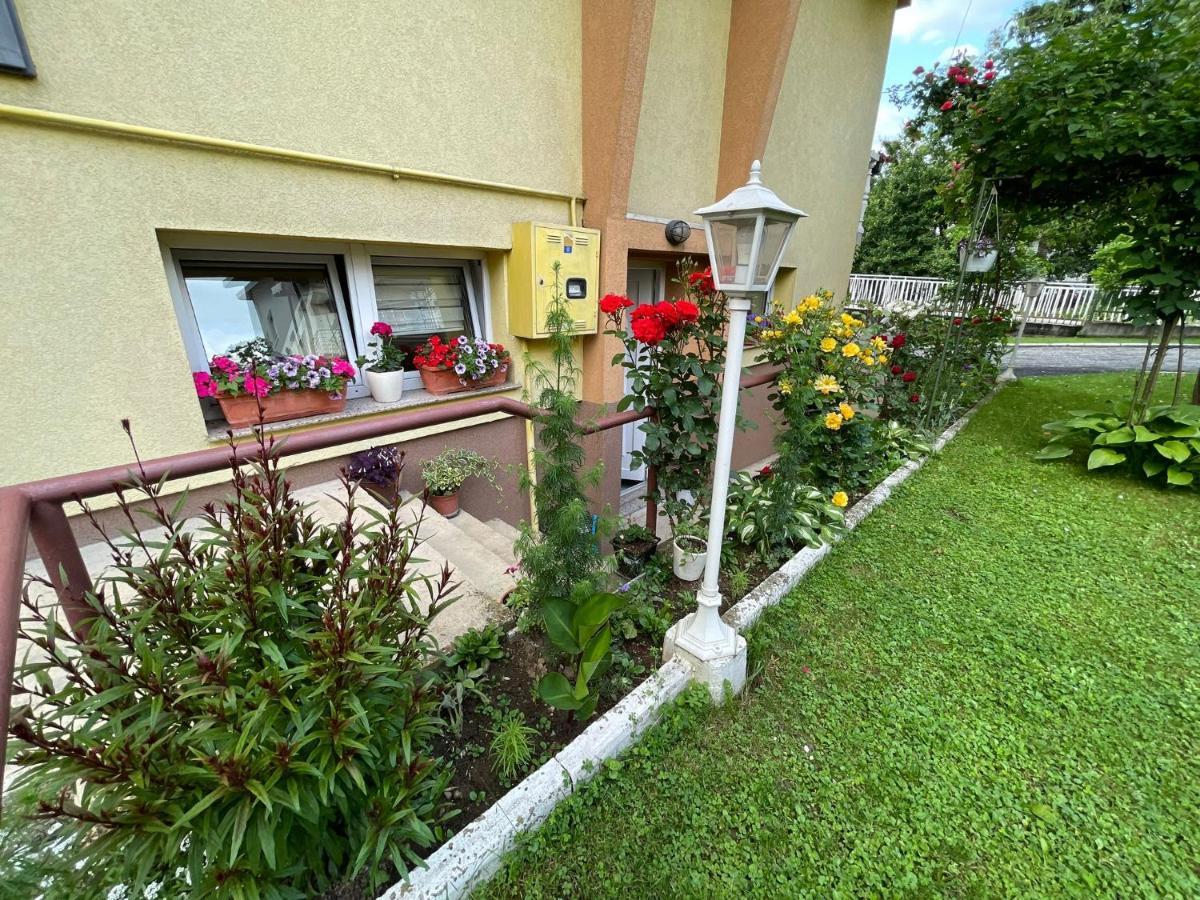 Dreamy Garden *